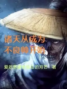 诸天从成为不良帅开始