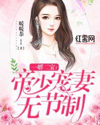 一婚二宝：帝少宠妻无节制