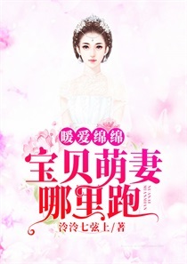 暖爱绵绵：宝贝萌妻哪里跑